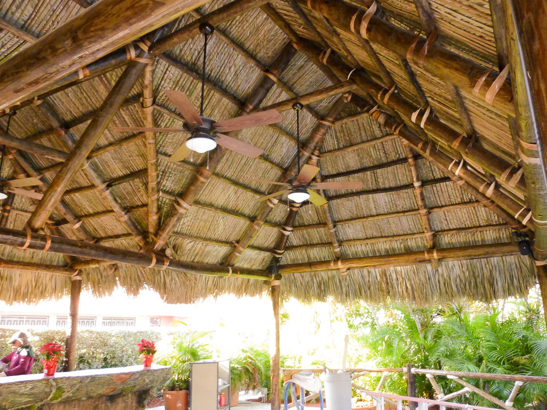 A thatched roof with lights on the ceiling.